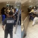 단지이것 이미지