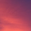 주문진시장약국 이미지