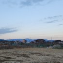 어단2리 이미지