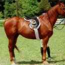 팔복에너지 이미지