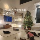 고양이주택 | 경기도 크리스마스 카페 고양이카페 고영주택 방문 후기