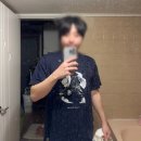 애니콜 | 유니클로 헌터헌터 주술회전 티셔츠 후기 | 슈에이샤 100주년 UT 콜라보 솔직 리뷰