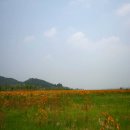 금강레져타운 이미지