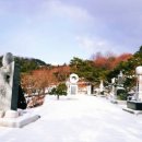 역사문화(효월드) 이미지