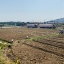 서부농장 이미지