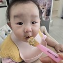 중기이유식 두유제조기 당근 브로콜리 하루 2끼 입자 살리기 도전