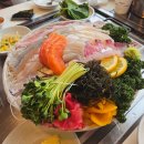 원주 단구동 맛집 물회 막회 본섬조개마을 본점 솔직 후기