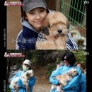 이상순농장 이미지