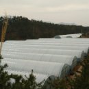 송림농장 이미지