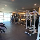 다이나믹 짐 이미지