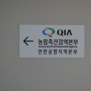 드라이브펫 이미지