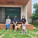 상희독스 아카데미 이미지