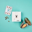 멍멍대학 이미지