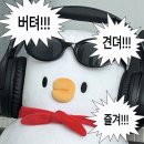 주영 타이어 | 안 하면 그만인데 그만하긴 싫고