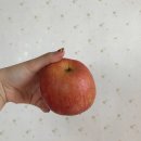 디딤불닭발 | 3/1~3/7 일상 (빵투어, 크레이지 모임, 까르보불닭 먹은 후기 등등)