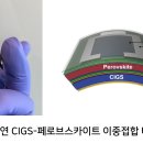 전지 헤럴드경제