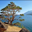 Global warming threatens Lake Baikal 이미지