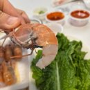 서귀포 올레시장 횟집 포장 [달인회센터] 딱새우 모둠회 내돈내산