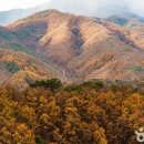 가을노을C 이미지