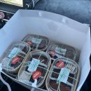 동광리-8 | 71. 행복했던 날들이었다