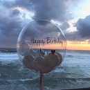 어달오션펜션 이미지