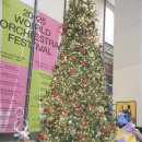 청명 141 | 대구콘서트하우스 2025 월드오케스트라페스티벌 손민수 &amp; 슬로베니안 필하모닉 리뷰