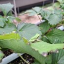 용희식당 이미지