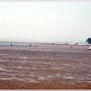 춘장대해수욕장 이미지