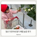 이목농장 | 일산 다인이네 딸기 농장 체험 후기