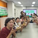 오피스메이트 이미지