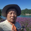 쑥섬이야기