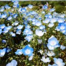 휴팩토리 이미지