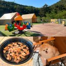 휴마트 | 김해 주촌 애견동반 맛집 휴파티 삼겹살 후기 아기자기 감성 캠핑고기집 추천