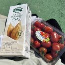 꼬물꼬물 봄 즐기기