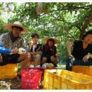 주혁농장 이미지