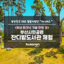 햇살나무 작은도서관 | [지니어스] 부산시민공원 잔디밭도서관 체험 후기