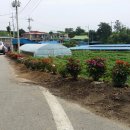 노암3리 이미지