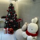 아세라빌라드아쿠아 호텔 이미지