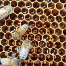 이레농장 이미지