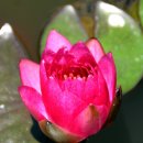 사람이 꽃보다 아름 이미지