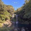 제주 천제연 난대림 | 제주 중문 가볼만한 곳 천제연폭포 소요시간 입장료 정보 최신 후기