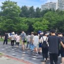 구갈레스피아 이미지