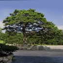 산애가펜션 이미지