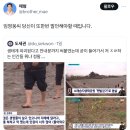 임영웅씨 당신이 또한번 발언해야할 때입니다. 이미지