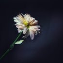 큰엄마 - 중구 큰장로 132 | 큰엄마