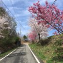 하범곡마을 이미지