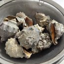 행복수산 | 구리 농수산물시장 찐 대방어 맛집 행복수산 내돈내산 추천 후기