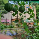 숲속향기생태 어린이집 이미지