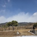 시크릿가든 | 대구 팔공산 시크릿가든 후기｜정원 예쁜 대형카페 데이트 코스