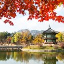 뮤직플라자